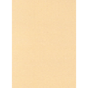A4 gekleurd printpapier Donker-lichtbeige 